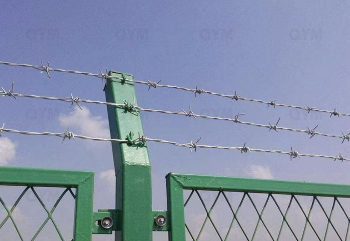 Barbed Wire 1