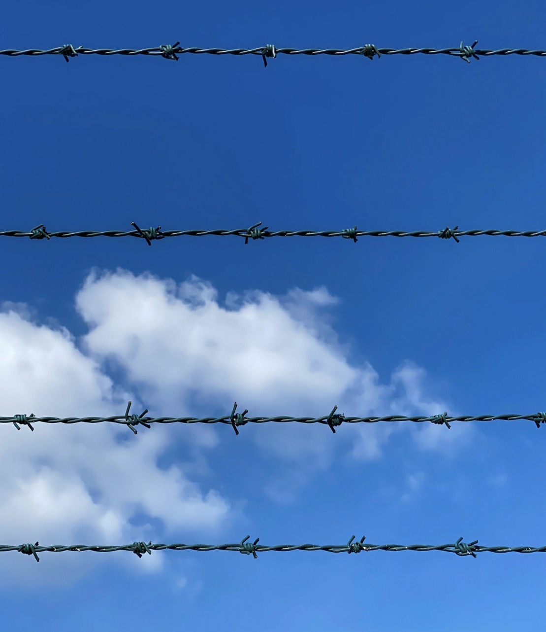 Barbed Wire 2