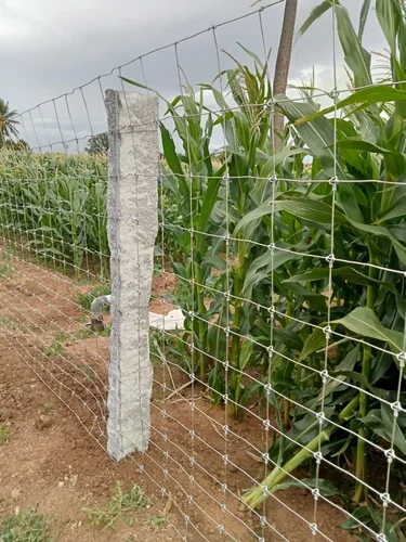 Knotted Wire Fence 1
