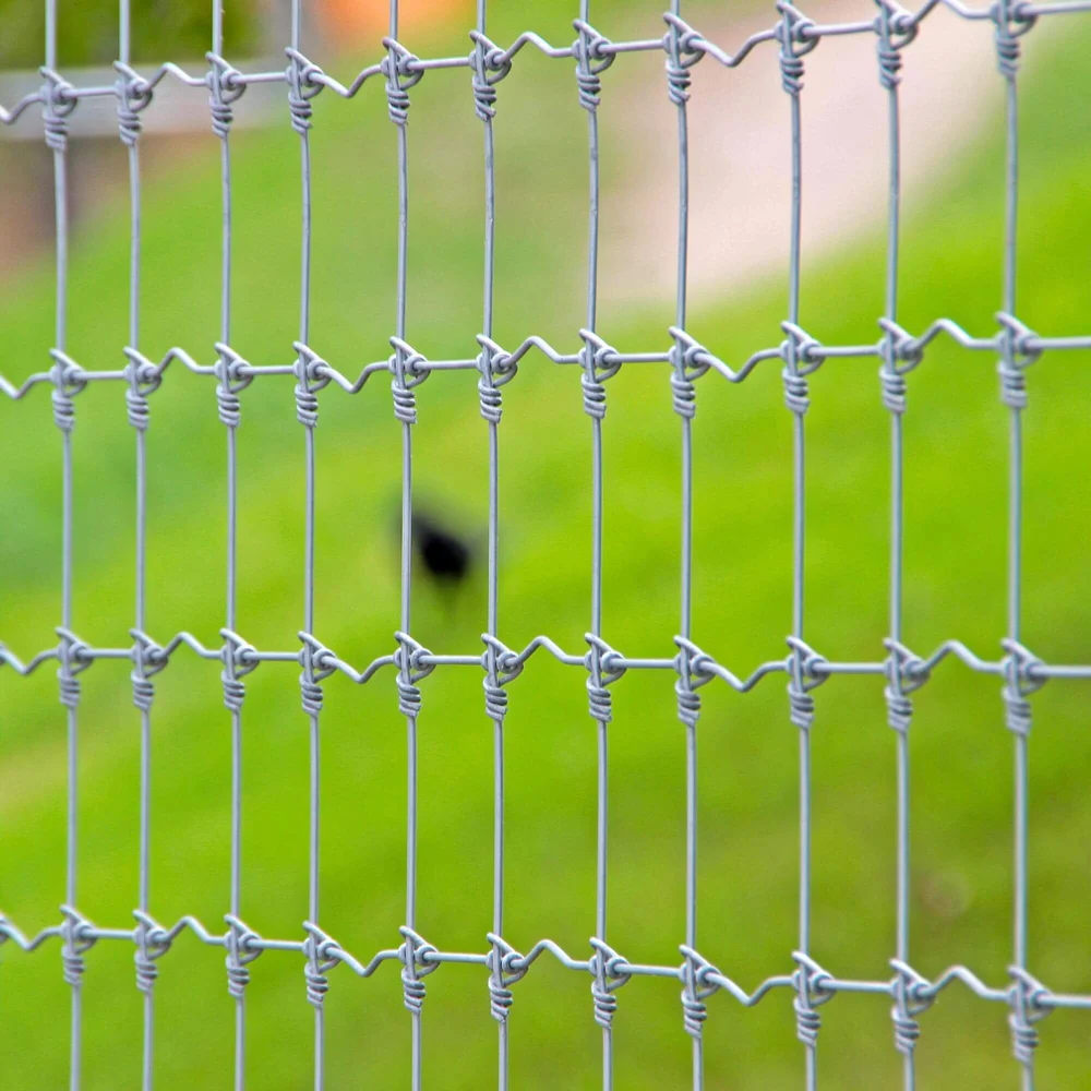 Knotted Wire Fence 2